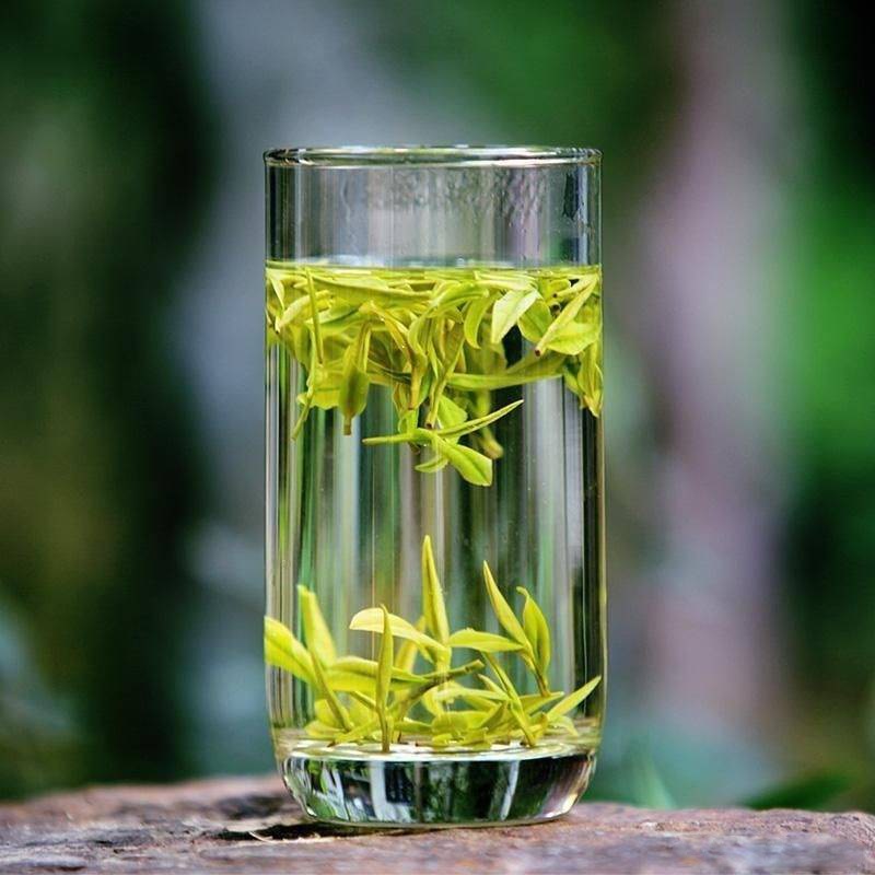 茶园日出