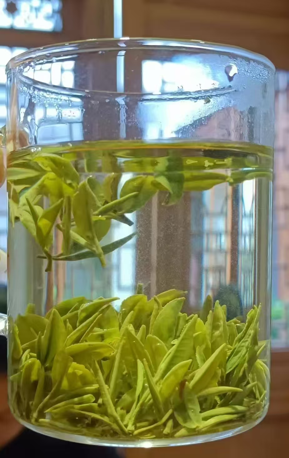 日照绿茶